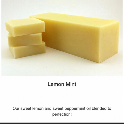 Caise of Lemon Zest Soap